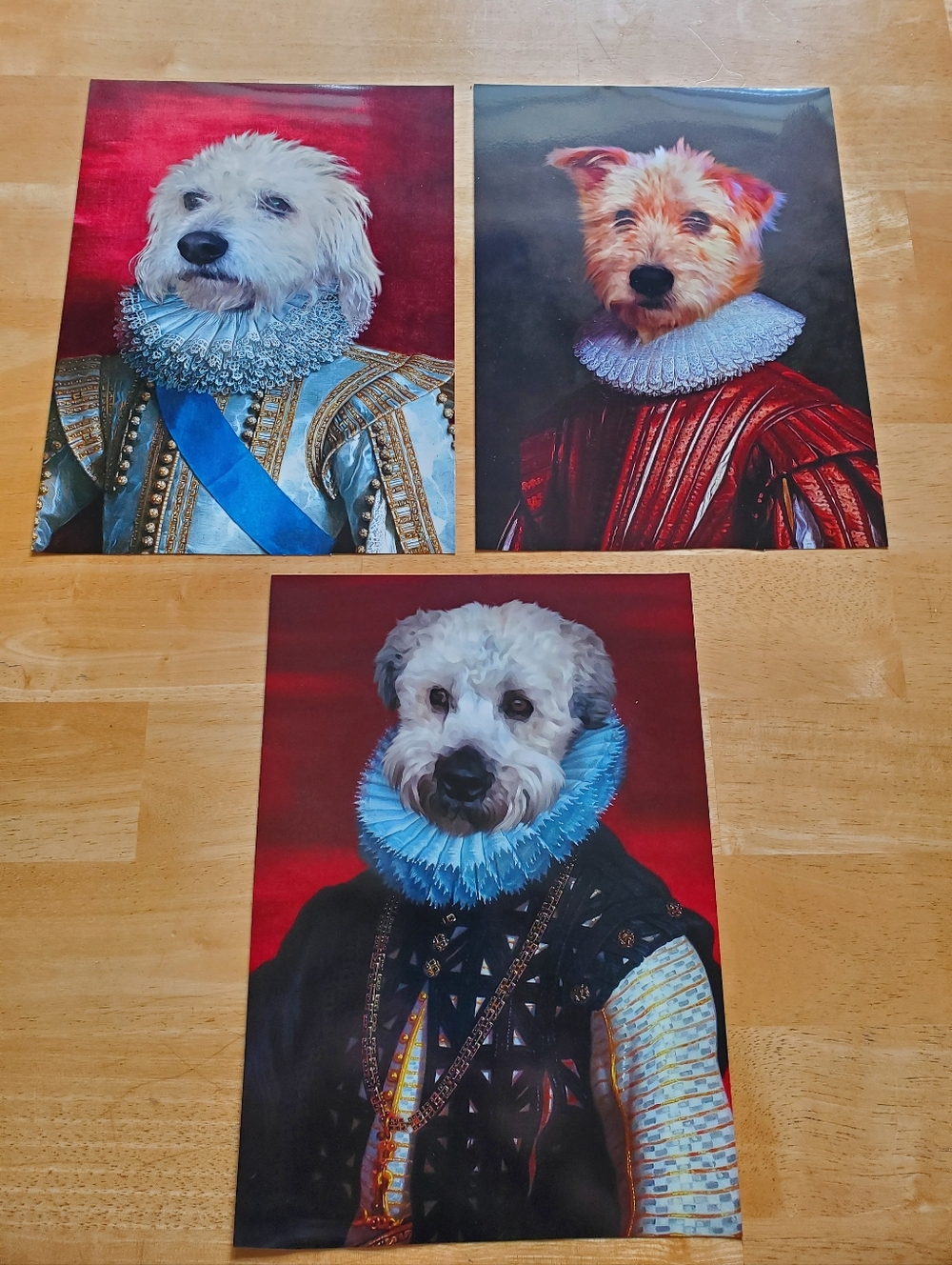 Aristocratic Dogs - Cute Funny Animals - 3  Pictures (B2)
